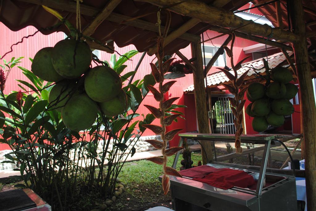 Islas Del Rio Hostel Tirimbina Екстериор снимка