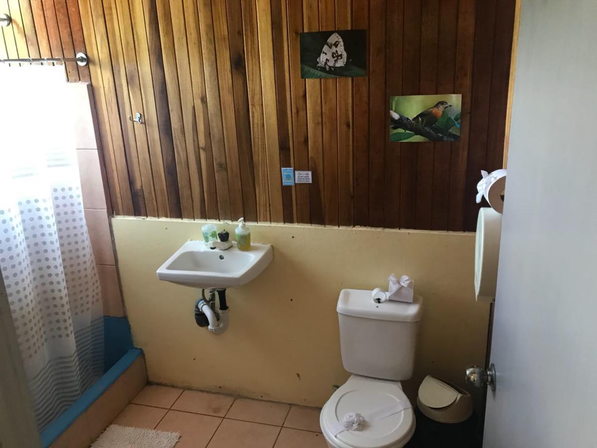 Islas Del Rio Hostel Tirimbina Екстериор снимка